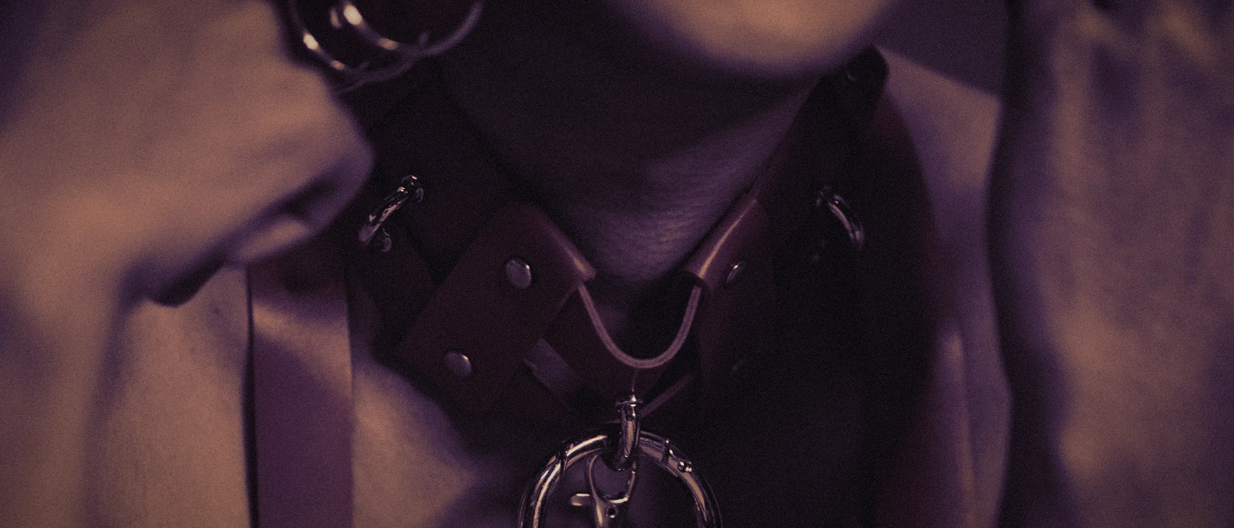 A close crop of a leather collar with a silver ring